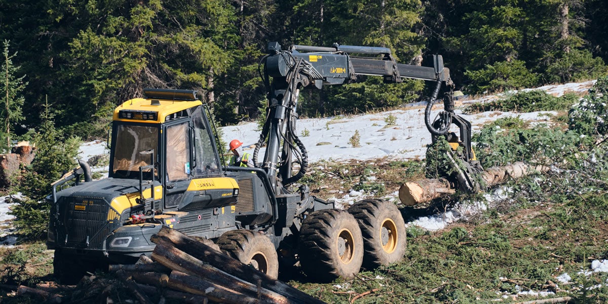 Heavy machinery creating fire breaks in the forest