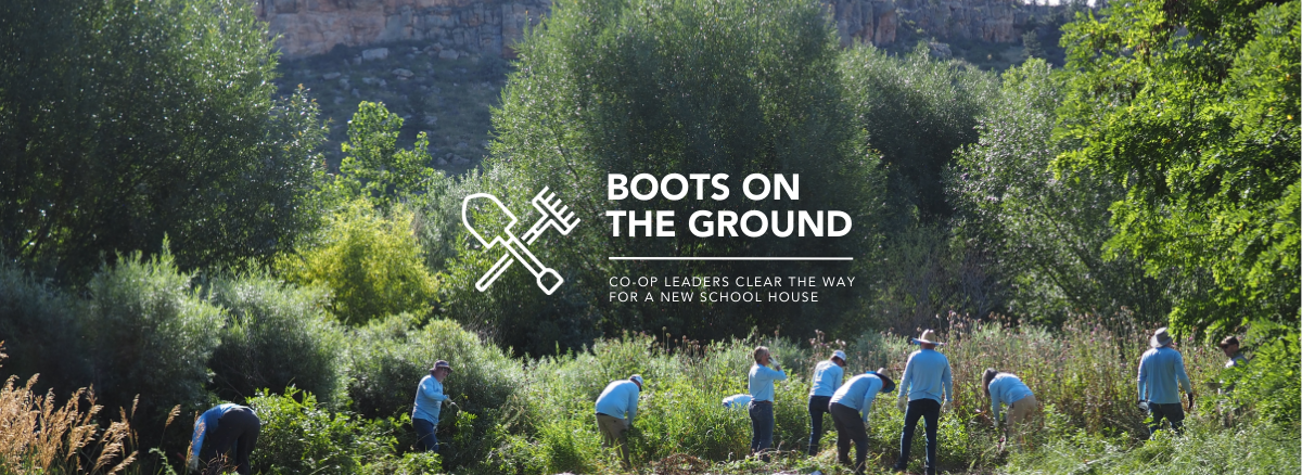 Hero image of a forest with the words: Boots on the ground, co-op leaders clear the way for a new school house