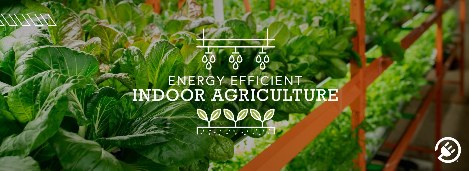 Energy Efficient Indoor Agriculture: Growing More with Less