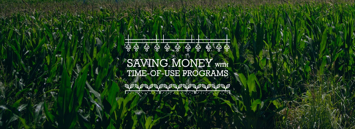 Time-of-Use Program Saves Irrigators Thousands
