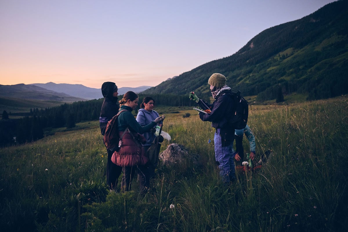 Kids in a field at sunrise