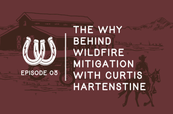 Episode 3: The Why Behind Wildfire Mitigation with Curtis Hartenstine