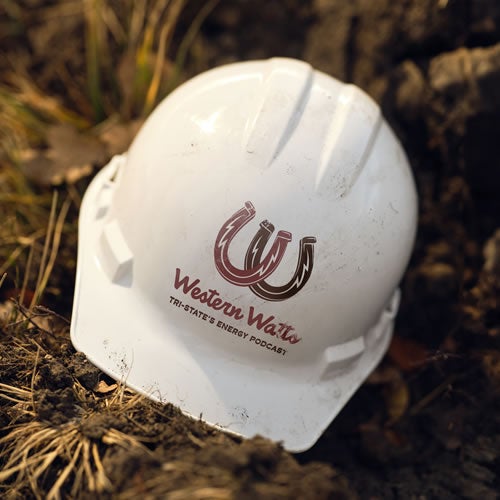 Western Watts hard hat