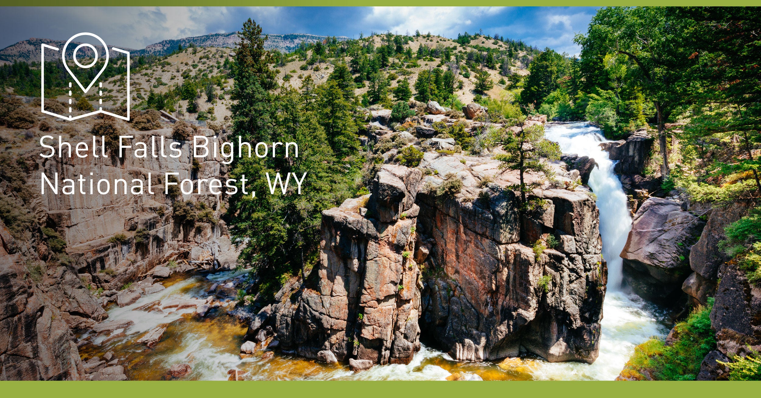 National Forest Wyoming Shell Forest 