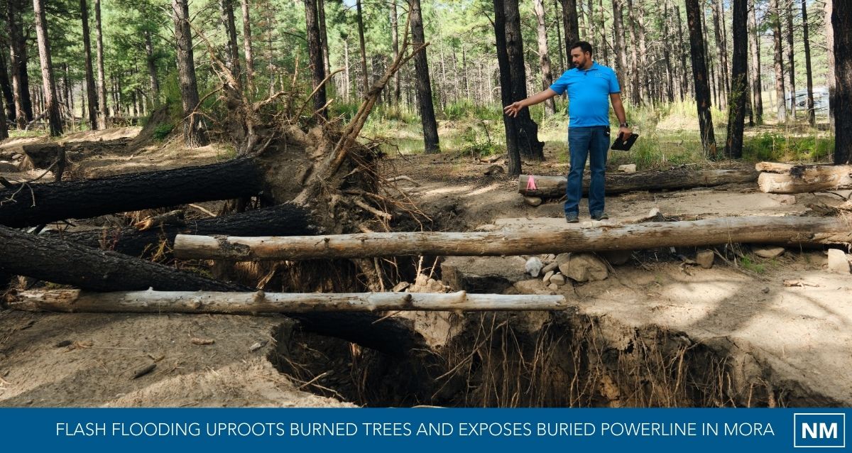 Flash flooding uproots burned trees and exposes buried power line in Mora