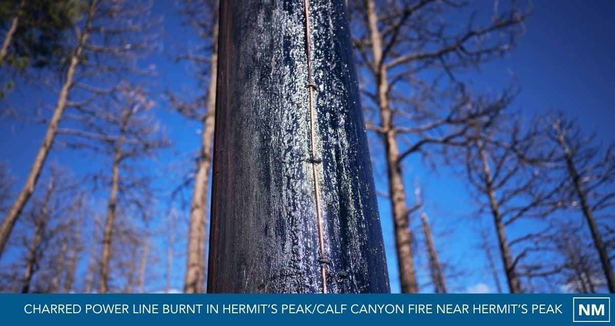 Charred power line burnt in Hermit's Peak/Calf Canyon fire near Hermit's Peak