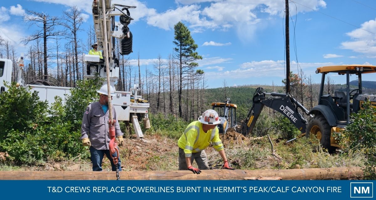 T&D crews replace power lines burnt in Hermit's Peak/Calf Canyon Fire