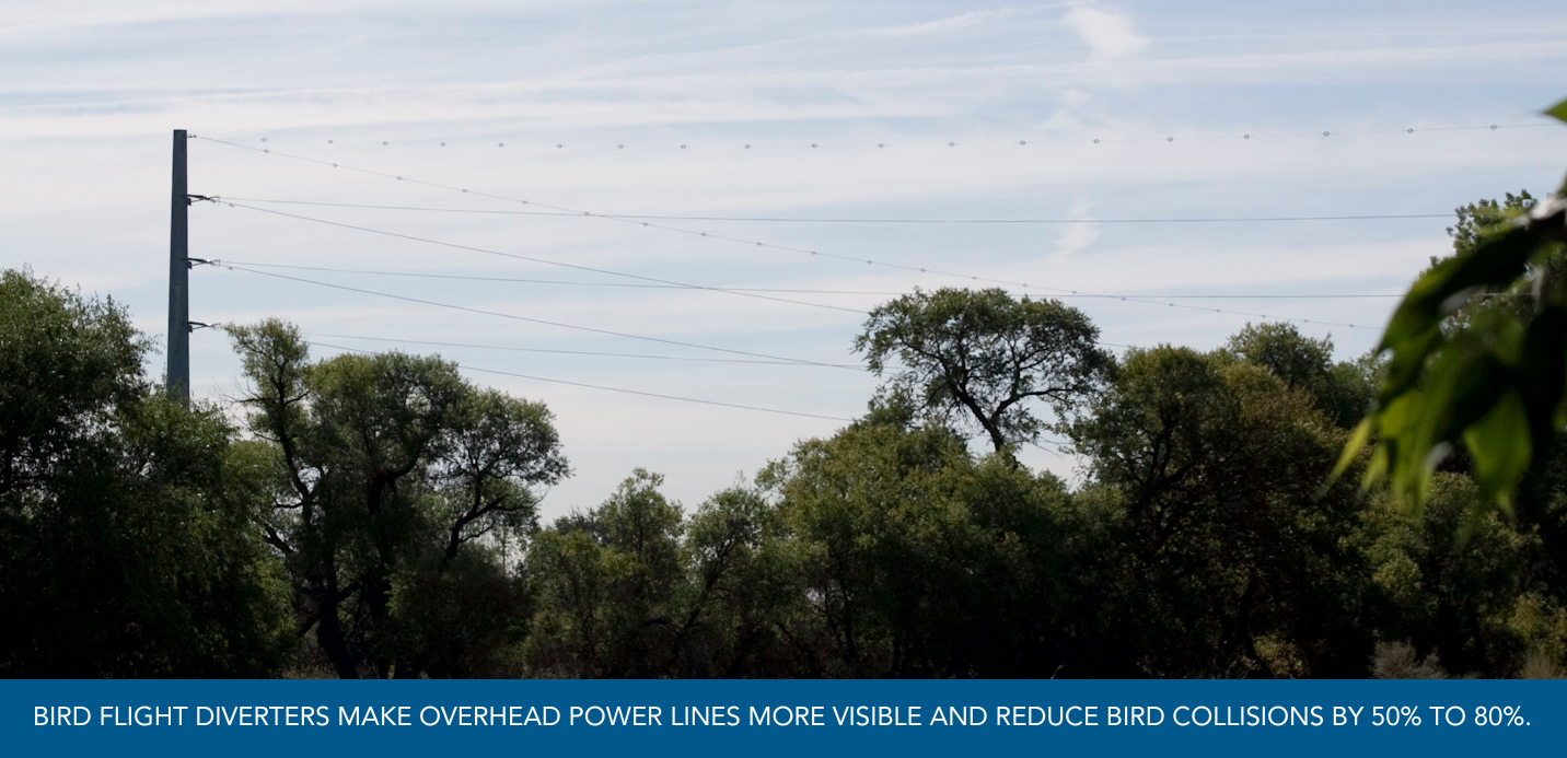 Bird flight diverters pictured on a power line