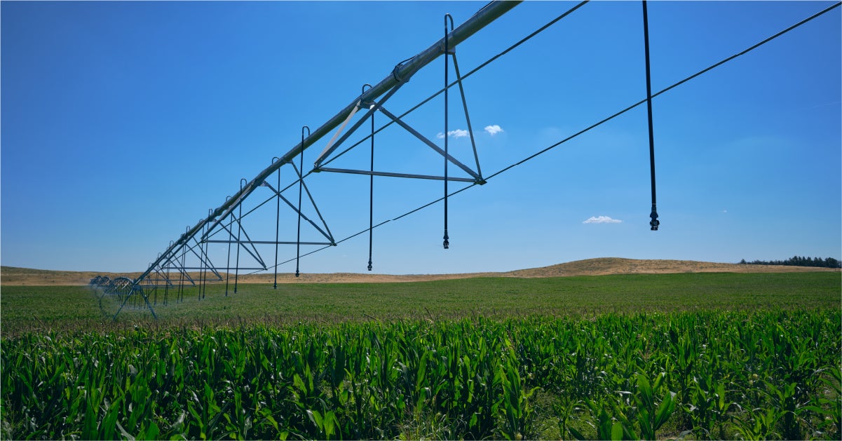 Time-of-Use Program Saves Irrigators Thousands