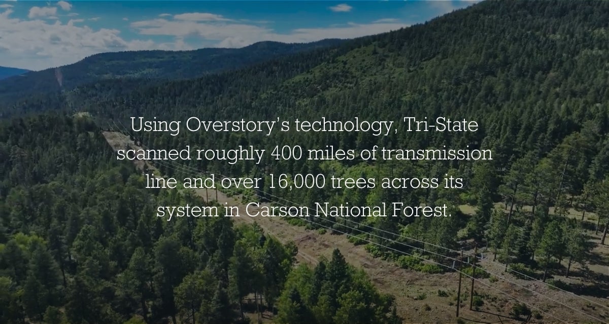 Background of forest with text over top: Using Overstory’s technology, Tri-State scanned roughly 400 miles of transmission line and over 16,000 trees across its system in Carson National Forest