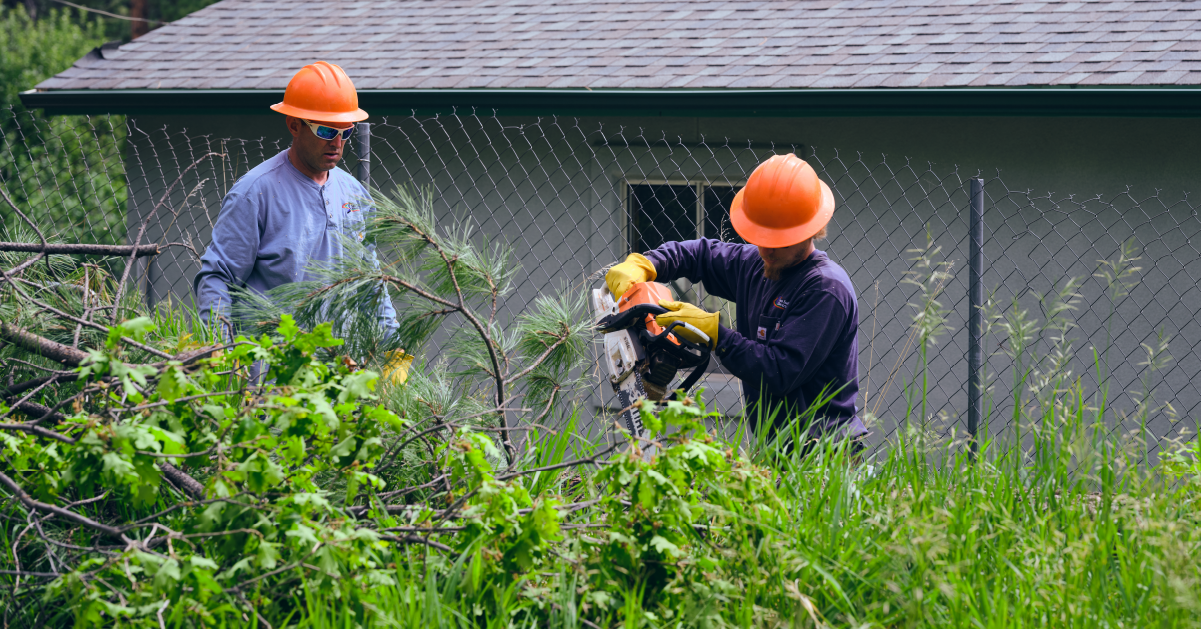 vegetation management