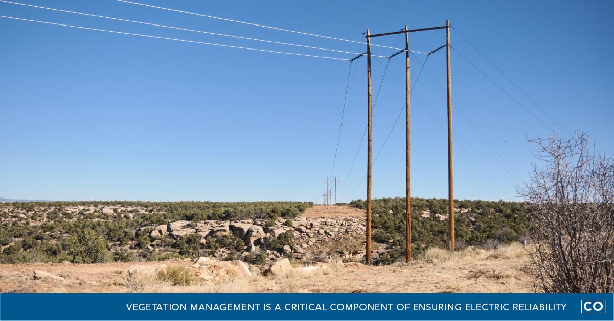 Utility pole and power lines