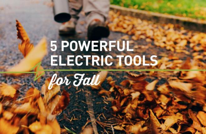 5 Powerful Electric Tools for Fall Clean-up
