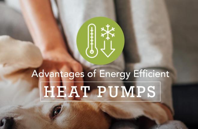 Advantages of heat pumps 