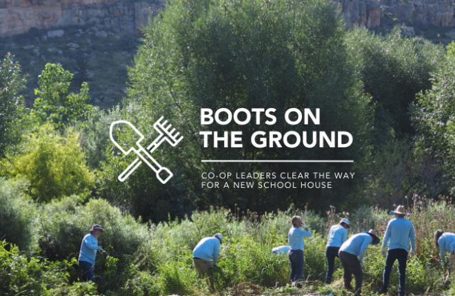 Hero image of a forest with the words: Boots on the ground, co-op leaders clear the way for a new school house