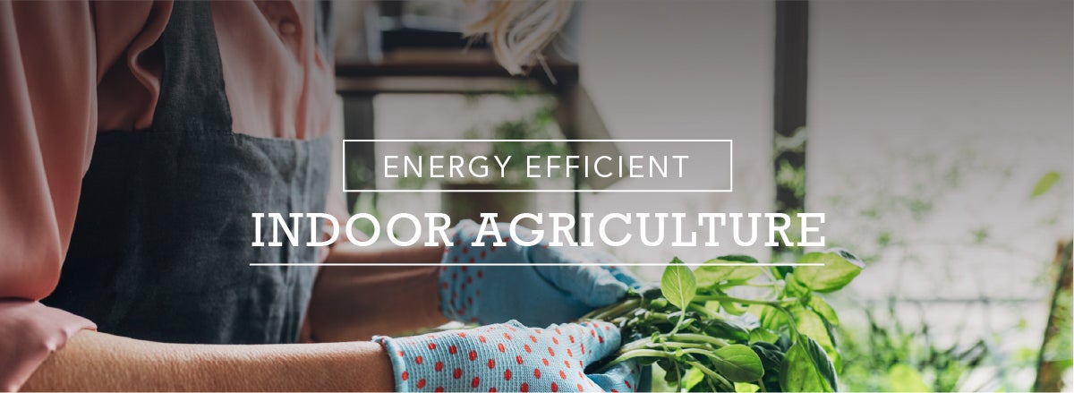 Energy Efficient Indoor Agriculture: Growing More with Less