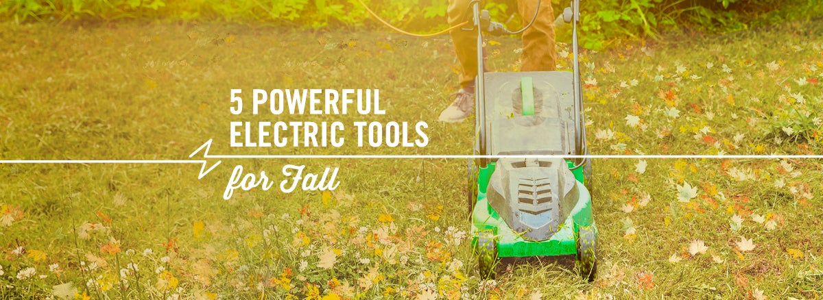 5 Powerful Electric Tools for Fall Clean-up