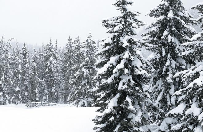 Our Energy Markets team kept their focus on reliability during recent blizzard