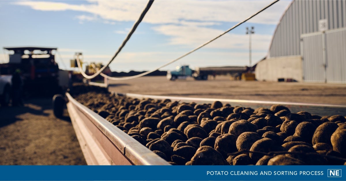 Walther Farms Combines Hard Work and Smart Choices