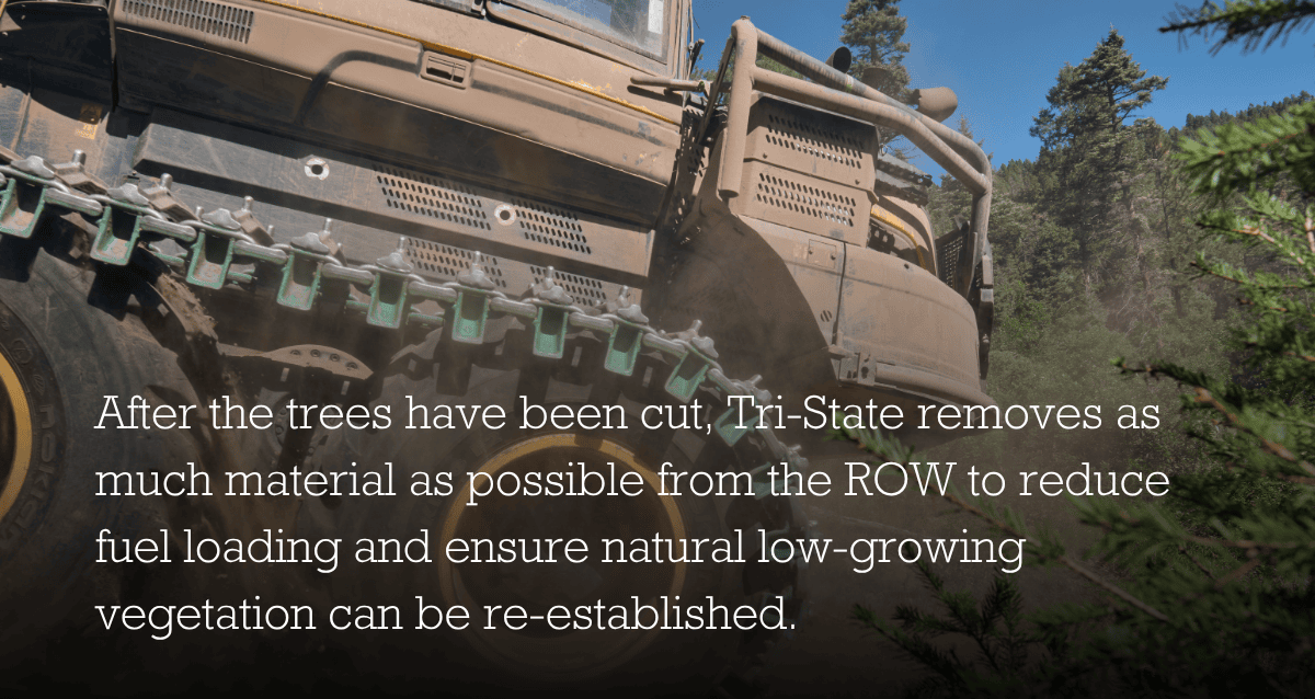 A tractor removing vegetation