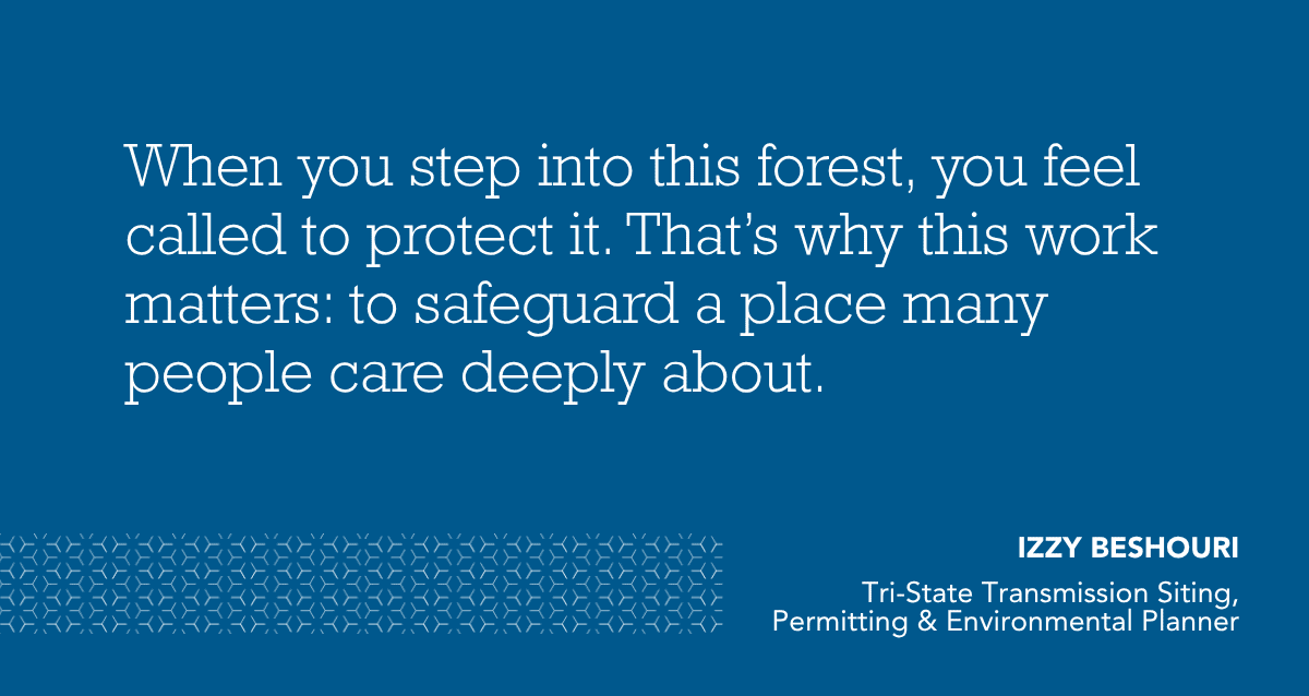 A quote from Izzy Beshouri reading, "{When you step into this forest, you feel called to protect it. That’s why this work matters: to safeguard a place many people care deeply about."
